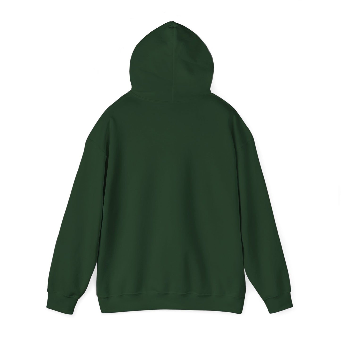 Hooded Sweatshirt - Face the Storm - Arctic Threadworks