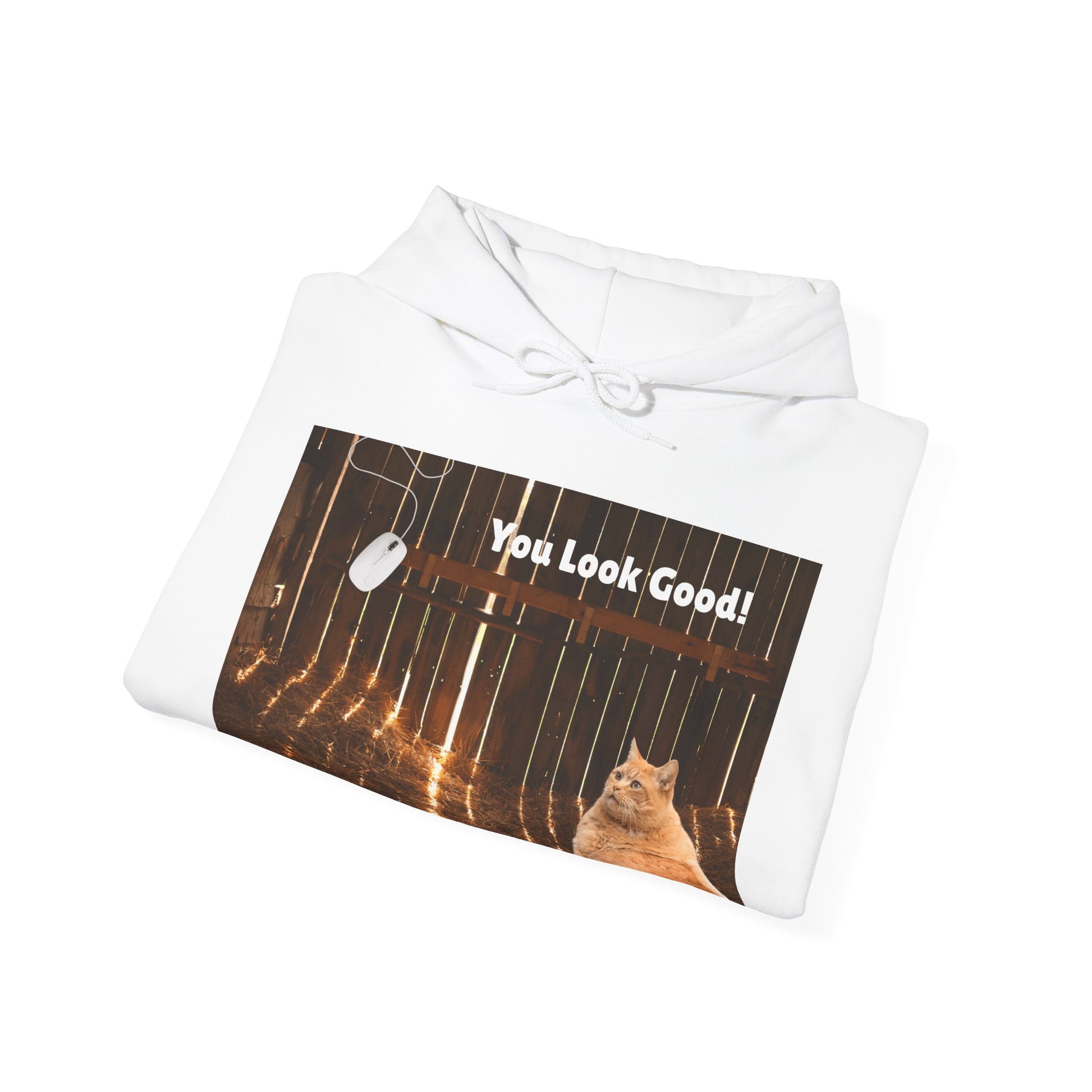 Cozy Cat Vibes Hoodie - You Look Good Unisex Sweatshirt - Arctic Threadworks